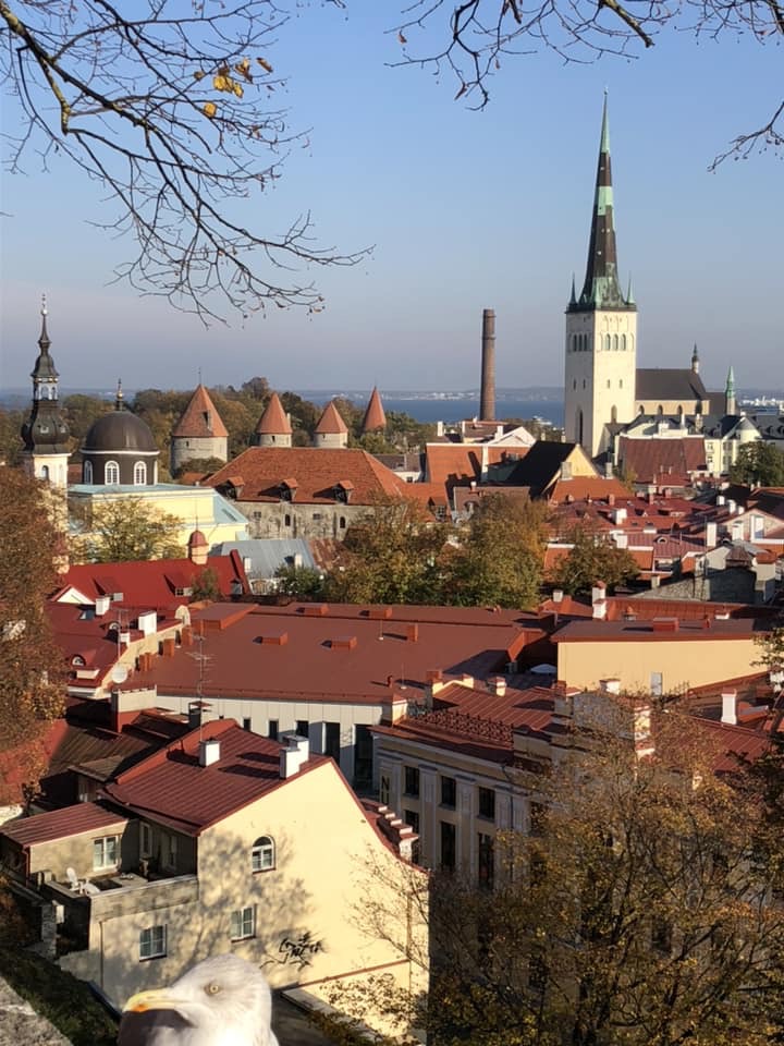 Tallinn Ethiopia October 16